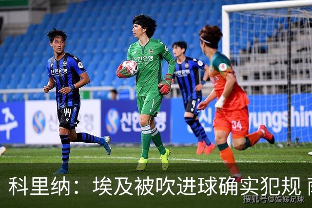 科里纳：埃及被吹进球确实犯规 萨拉赫倒地正常接触